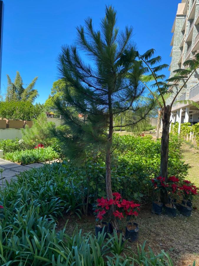 Near Johnhay Minesview Fast Wi-Fi Netflix Balcony Apartment Baguio City Bagian luar foto